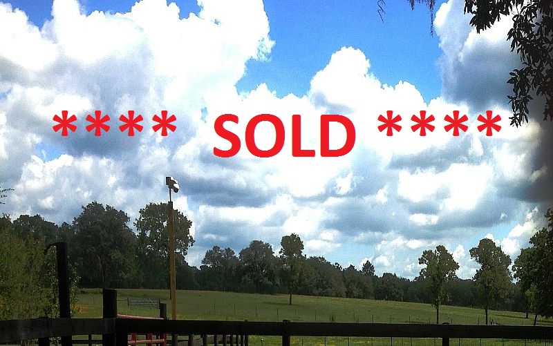 Haddon Rd, 10 Ac Income Producing Peanut Hay Near Florida Withlacoochee State Forest, Brooksville SOLD